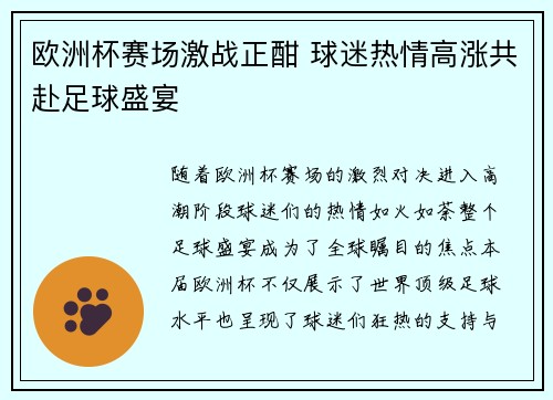 欧洲杯赛场激战正酣 球迷热情高涨共赴足球盛宴